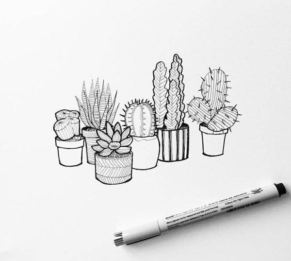 Лиза Краснова скетч