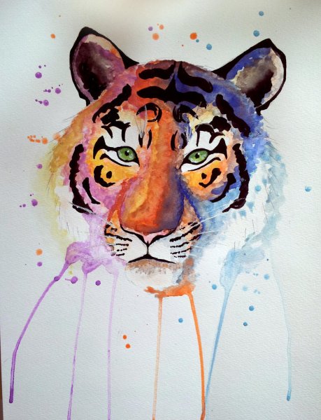 Тигр глаза акварелью