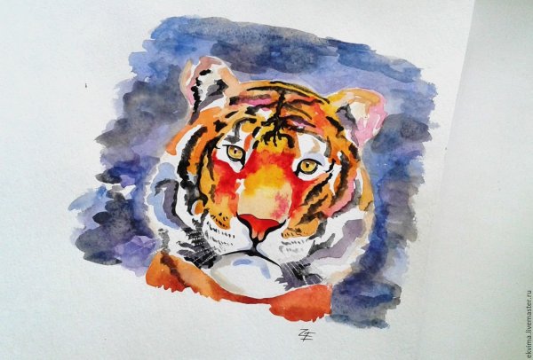 Тигр акварель