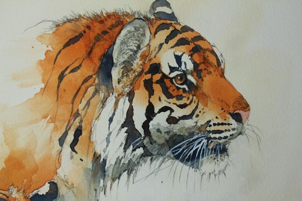 Амурский тигр акварель