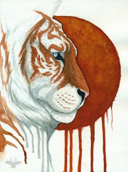 Рисование тигра красками