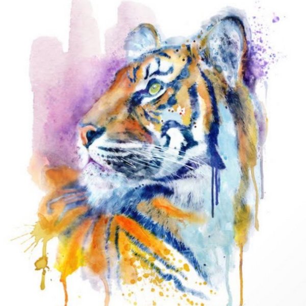 Тигр акварель на белом фоне