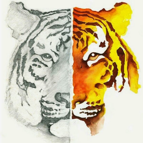 Глаза животных