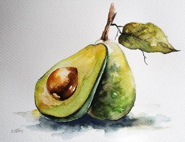 Этюды фруктов акварелью авокадо