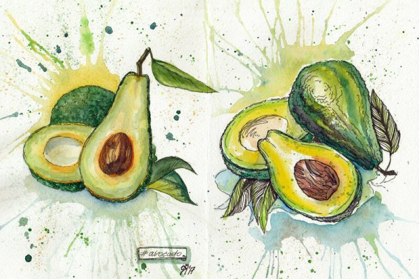 Скетчинг акварелью авокадо
