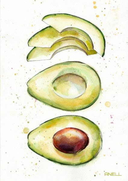 Скетчинг акварелью авокадо