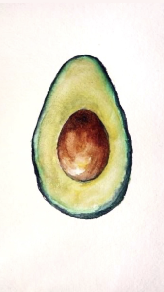 Авокадо рисунок для срисовки