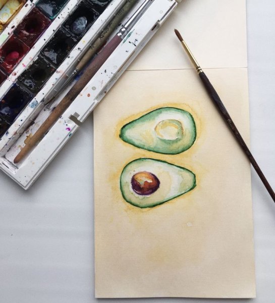 Авокадо скетч акварелью