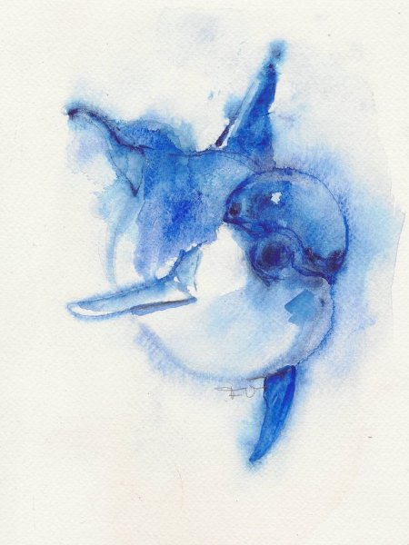 Акварельные дельфины