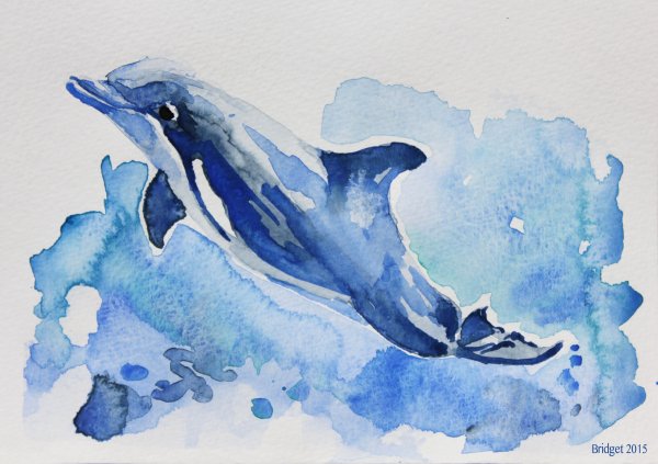 Дельфин скетч акварелью