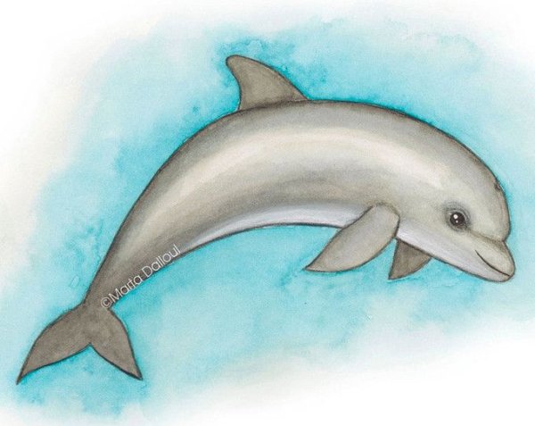 Дельфины акварелью