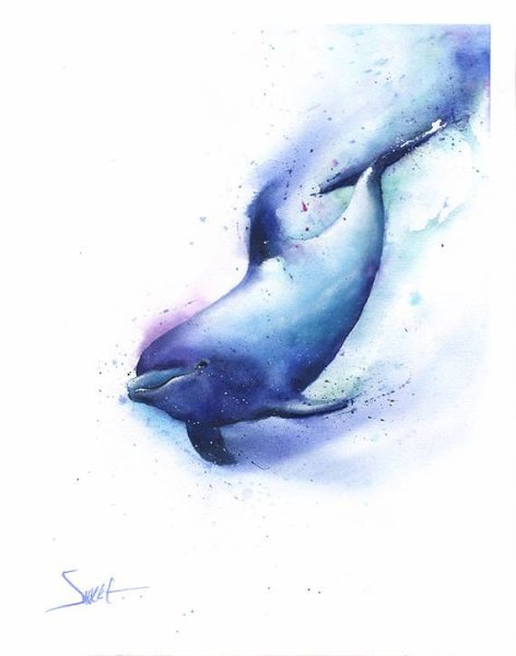 Дельфин скетч акварелью