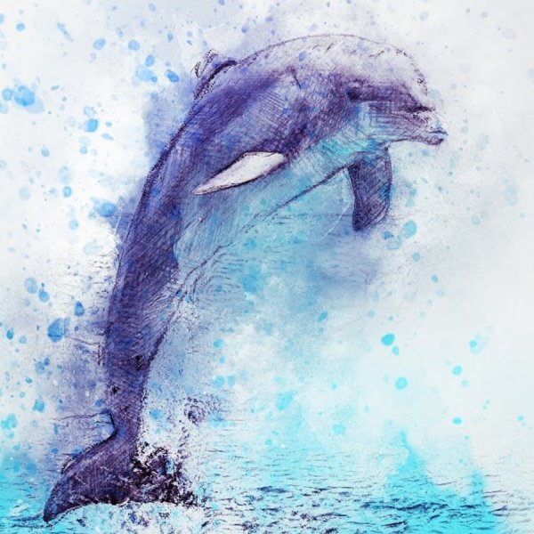 Дельфины акварелью