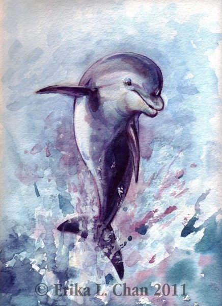 Дельфин гуашью