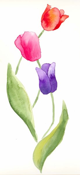 Цветы акварелью для начинающих