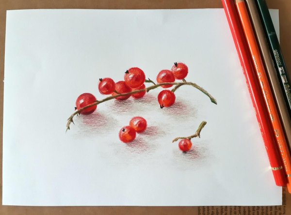 Ягоды цветными карандашами