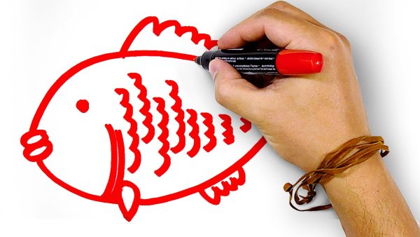 Роза маркерами