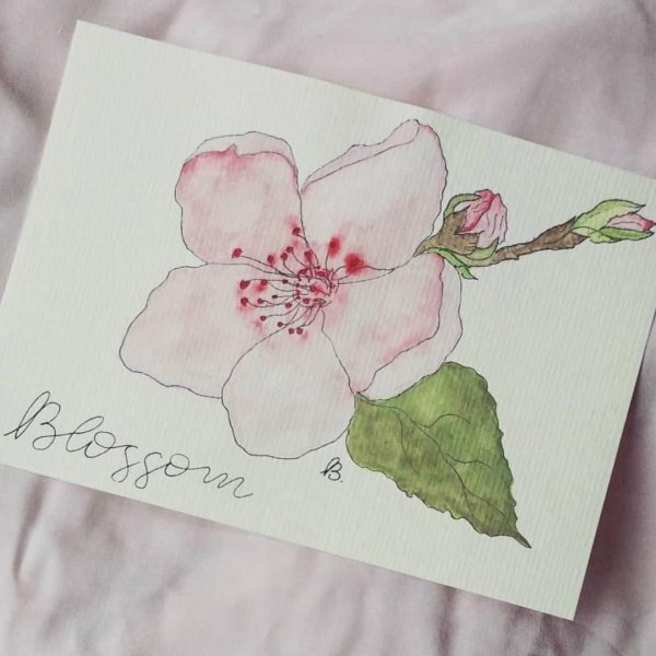 Открытки акварелью цветы легкие