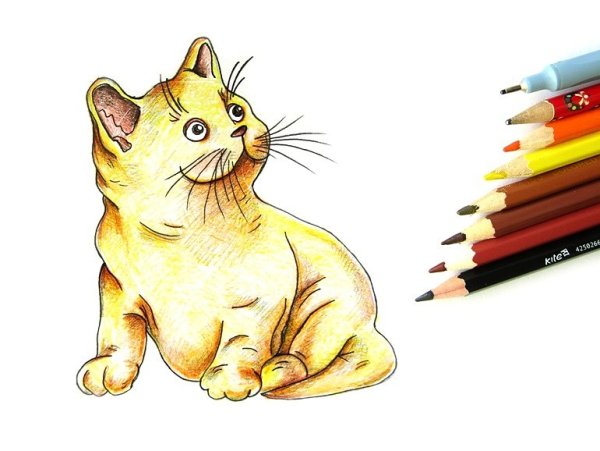 Котики фломастерами