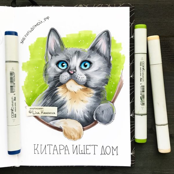 Кошка маркерами