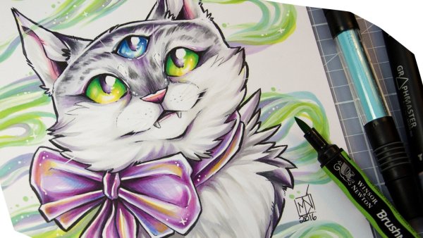 Кот маркерами