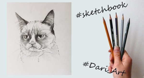 Идеи для рисования кота