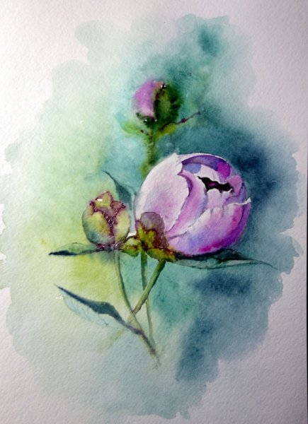 Цветы акварелью длямначинающих