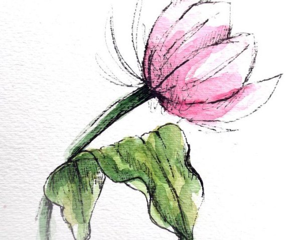 Скетч цветы акварель