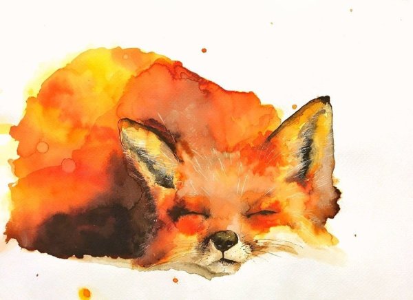 Акварельные рисунки