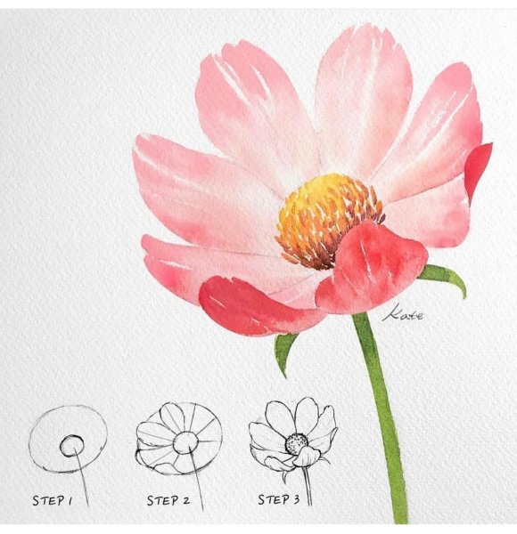 Схемы рисования цветов акварелью