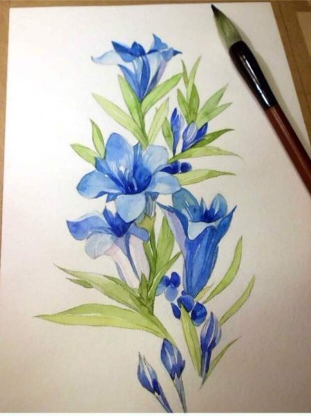 Поэтапное рисование цветов акварелью