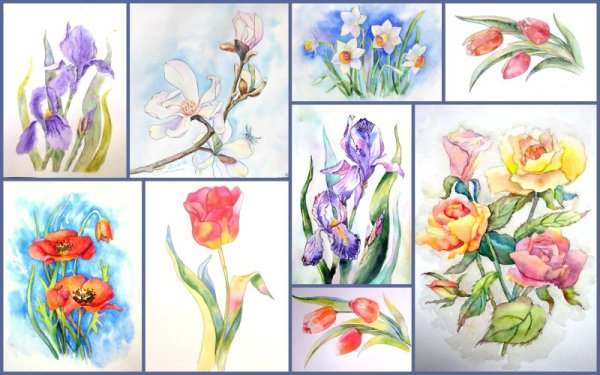 Рисунки цветов акварелью поэтапно