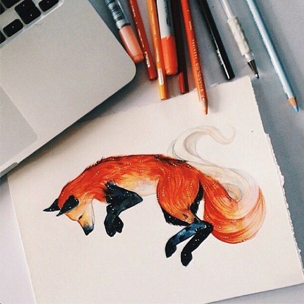 Иллюстрации Кэти Липскомб лиса