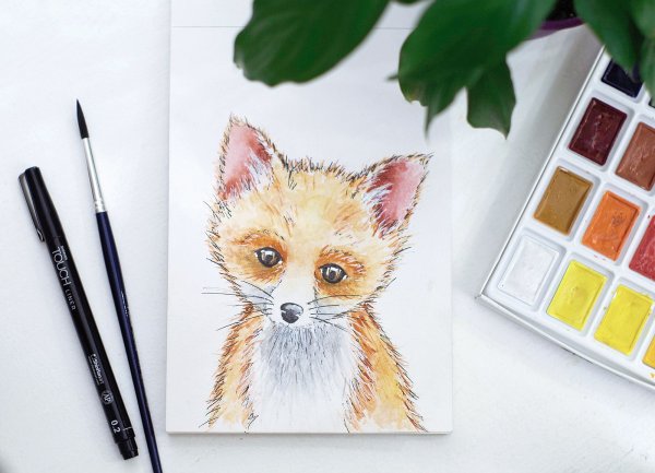 Лисенок скетчинг