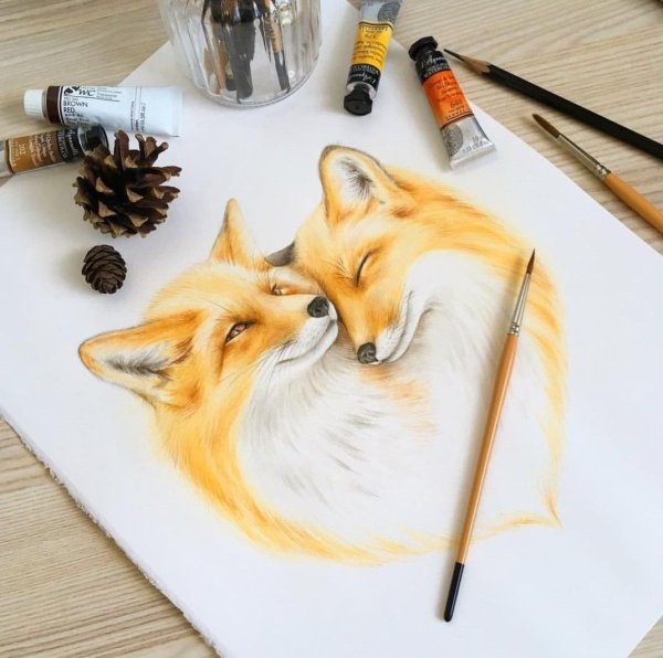 Лиса акварельными карандашами
