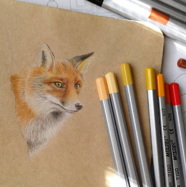 Животные маркерами для скетчинга