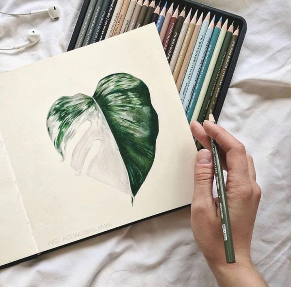 Скетчбук цветными карандашами