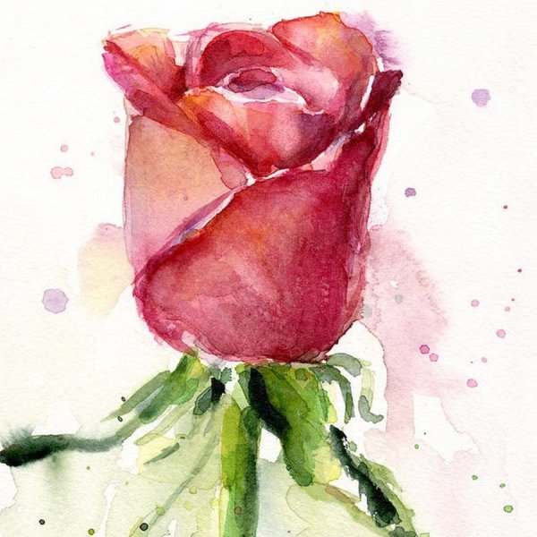 Рисунки акварелью для начинающих