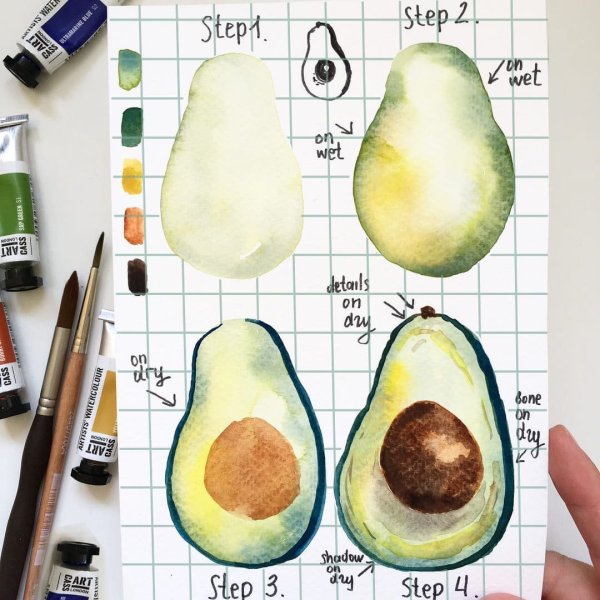 Авокадо красками акварель
