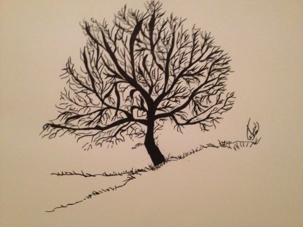 Скетчинг деревья