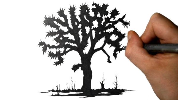 Дерево черным фломастером