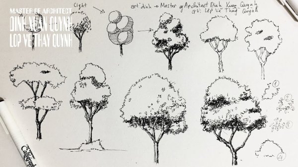 Деревья туториал карандашом