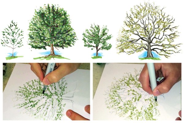 Дерево маркерами