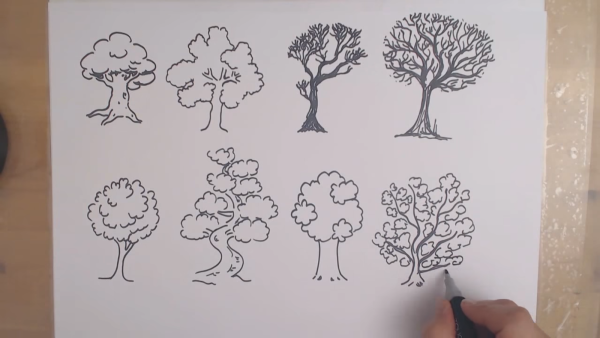 Дерево рисунок карандашом для детей