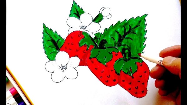 Пошаговое рисование земляники