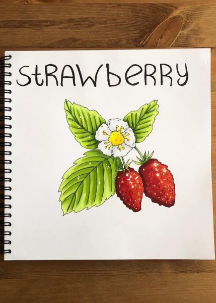 Ягоды скетч маркерами