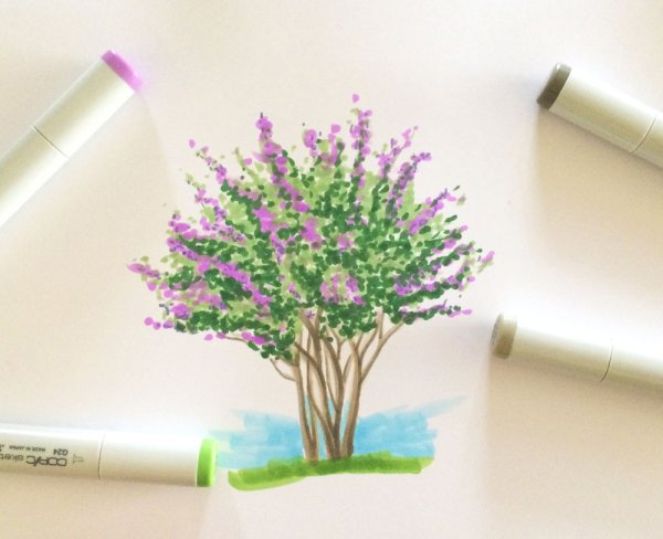 Цветы скетч маркерами