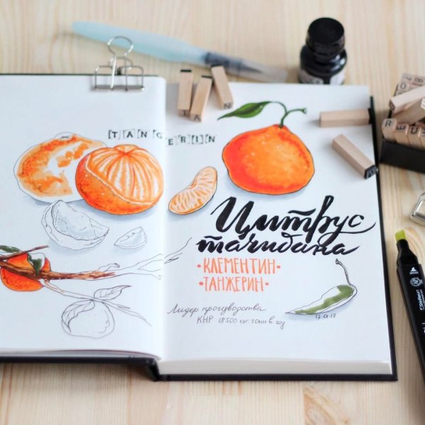 Мандарин скетч маркерами