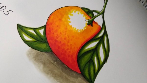 Мандарин скетч маркерами