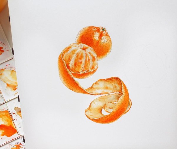 Мандарин акварелью скетчинг